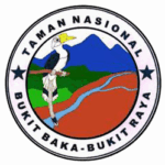 TAMAN NASIONAL BUKITBAKA BUKIT RAYA