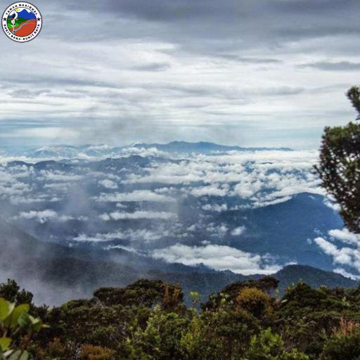 taman nasional baka bukit raya