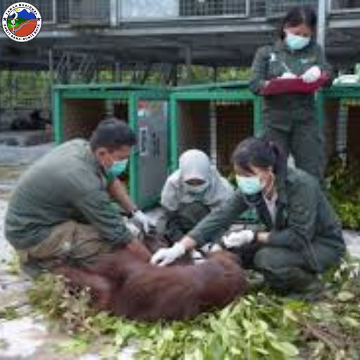 Taman Nasional Bukitbaka Bukitraya