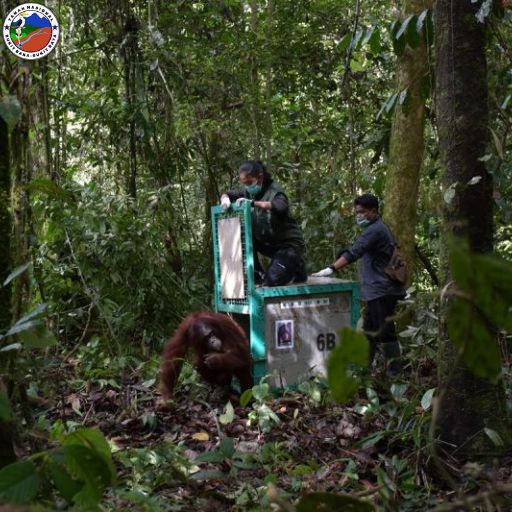 Taman Nasional Bukitbaka Bukitraya