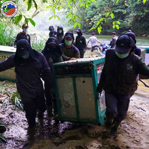 Taman Nasional Bukitbaka Bukitraya