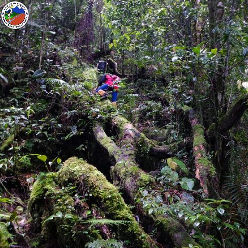 Taman Nasional Bukitbaka Bukitraya
