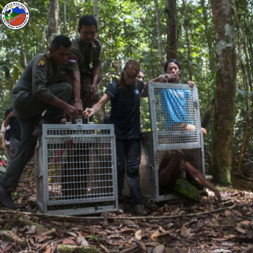 Taman Nasional Bukit Baka Bukit Raya