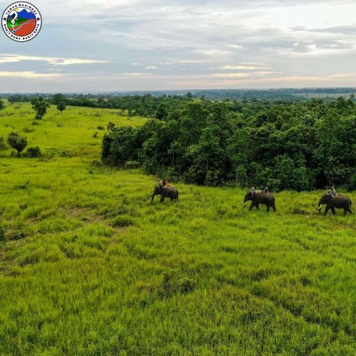 TAMAN NASIONAL WAY KAMBAS​