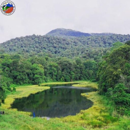 TAMAN NASIONAL BATANG GADIS​