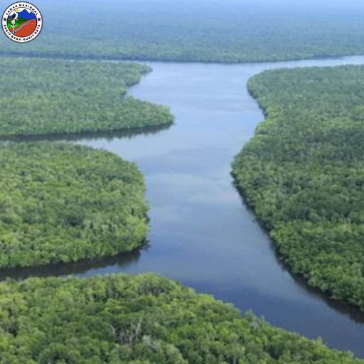 TAMAN NASIONAL BERBAK SEMBILANG​